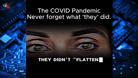 The COVID Pandemic - Never forget what 'they' did.