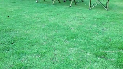 wildness outdoor camping foldable chair set green