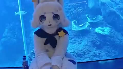 Aquarium and Bunny