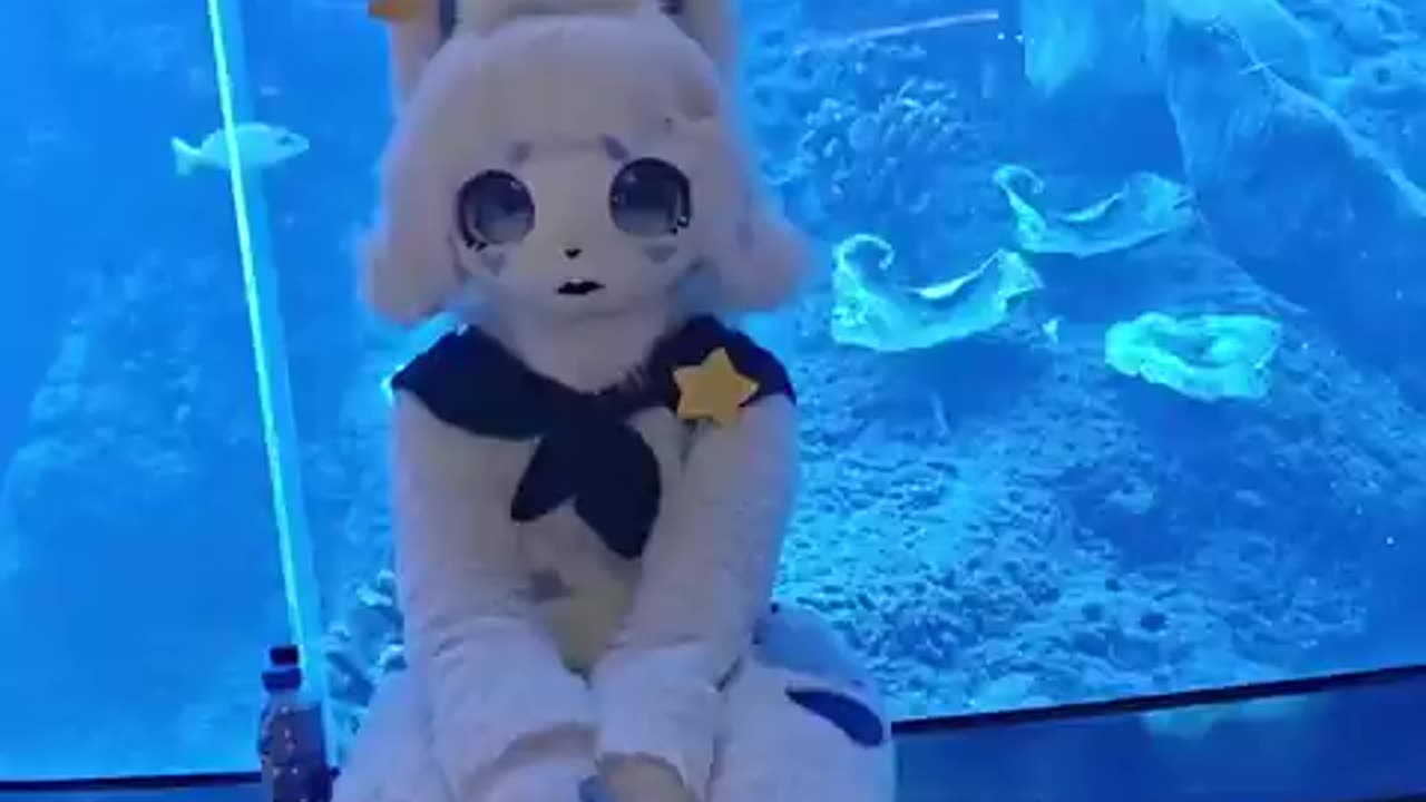 Aquarium and Bunny