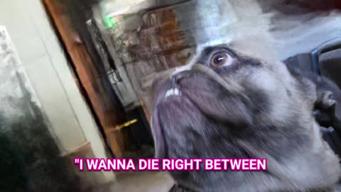 Wet Wet Snippet Lyrics