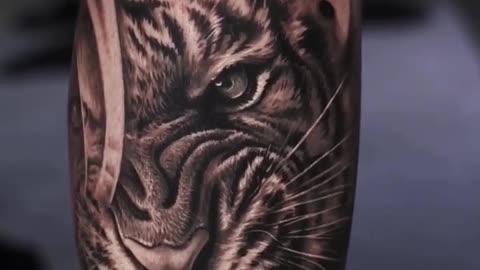 Wild Tiger - Jose Contreras TX