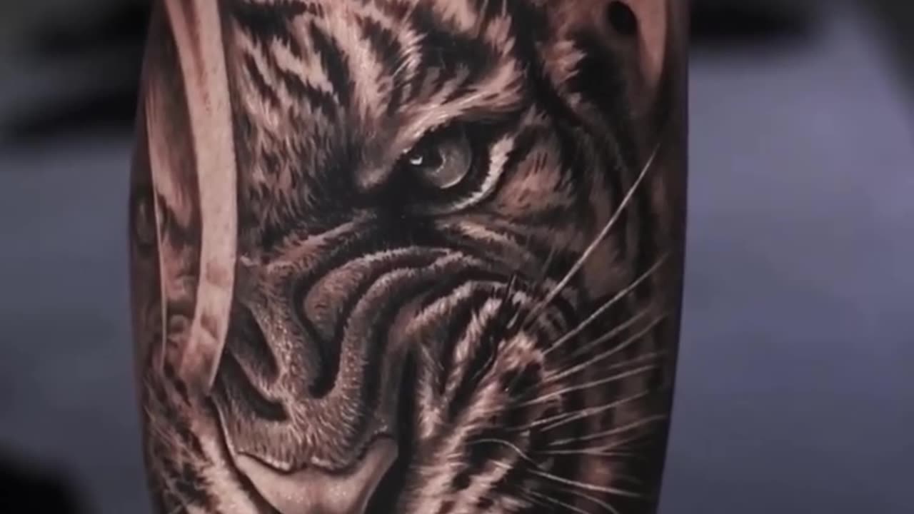 Wild Tiger - Jose Contreras TX