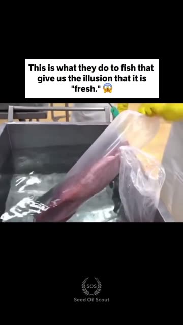 How the fish industry give you the illusion of fresh fish