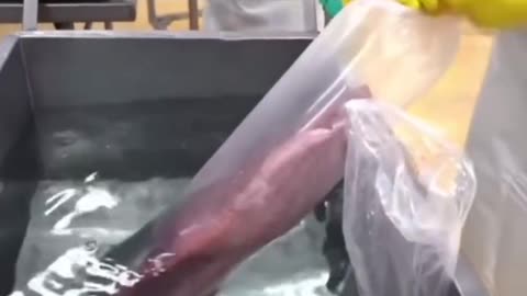 How the fish industry give you the illusion of fresh fish