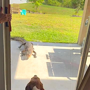 God definitely saved her life.