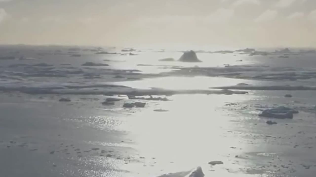 5 longest living species on Earth #hindistories #viralvideos #shorts