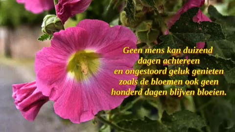 Geen mens