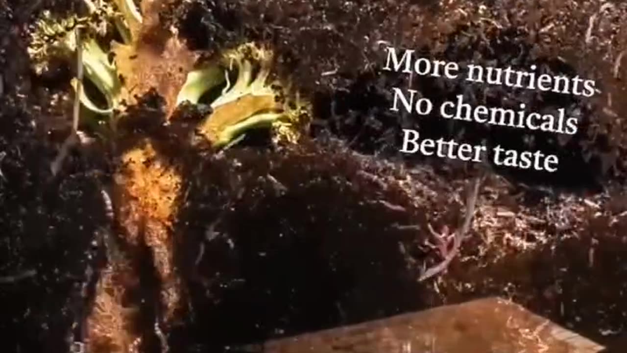 IF WORMS WON'T EAT IT WHY WOULD YOU