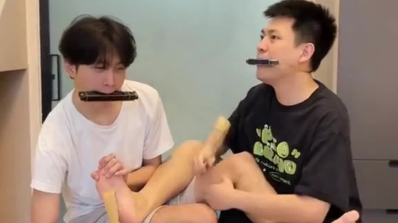 Never Seen This Before! Harmonica Challenge! 🤔