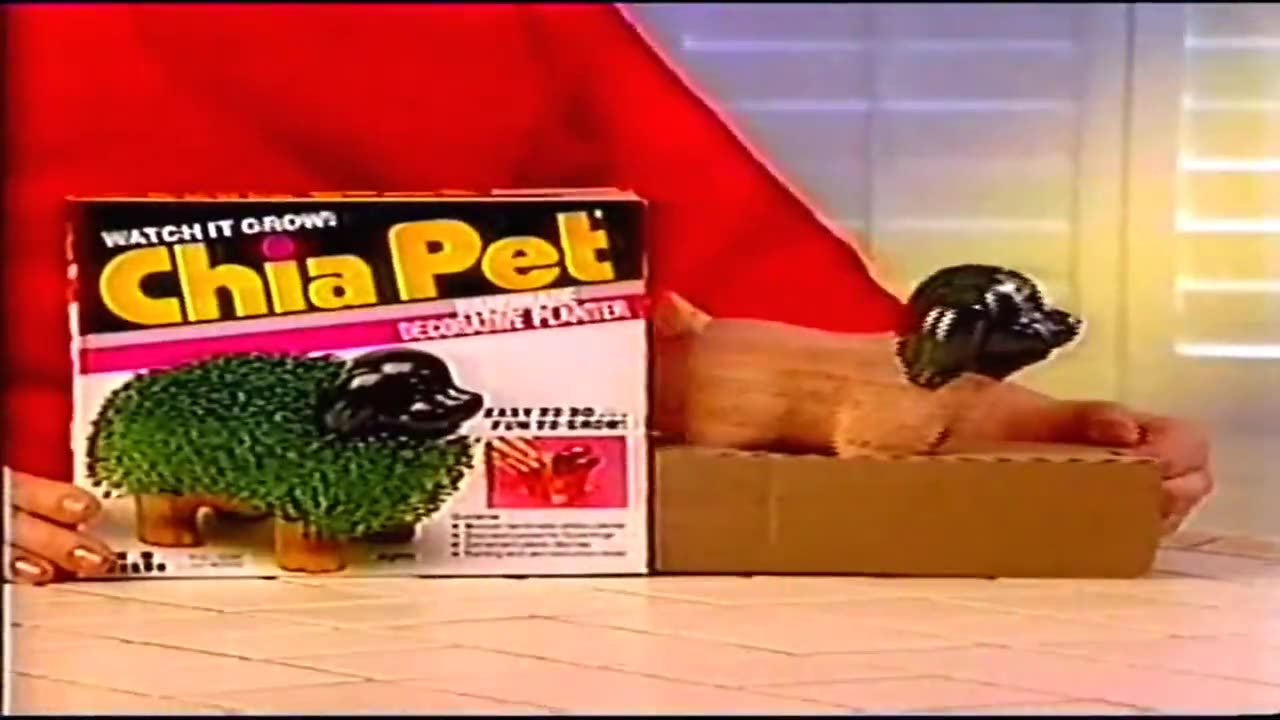 Charlie Kirk Shooting Hoax - Chia Charlie