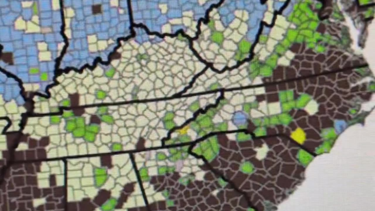 If you don't support chattel slave trade then you are a Nazi