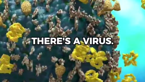 Autophagy fasting begins around 17 hours without food, when cells turn inward to...