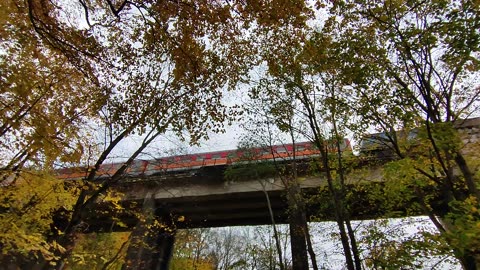 Kamieńczyk nad Bobrem