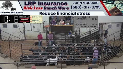 6/25/2025 - Day 2 - Sheep & Goat Auction - Producers Livestock Auction Company