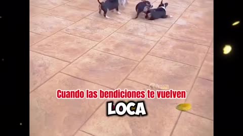 Desesperación de la madre