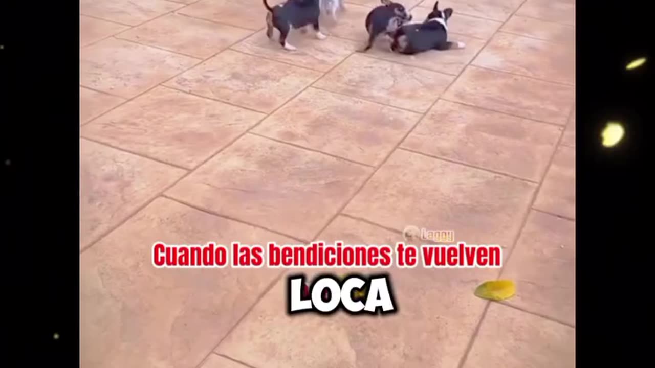 Desesperación de la madre