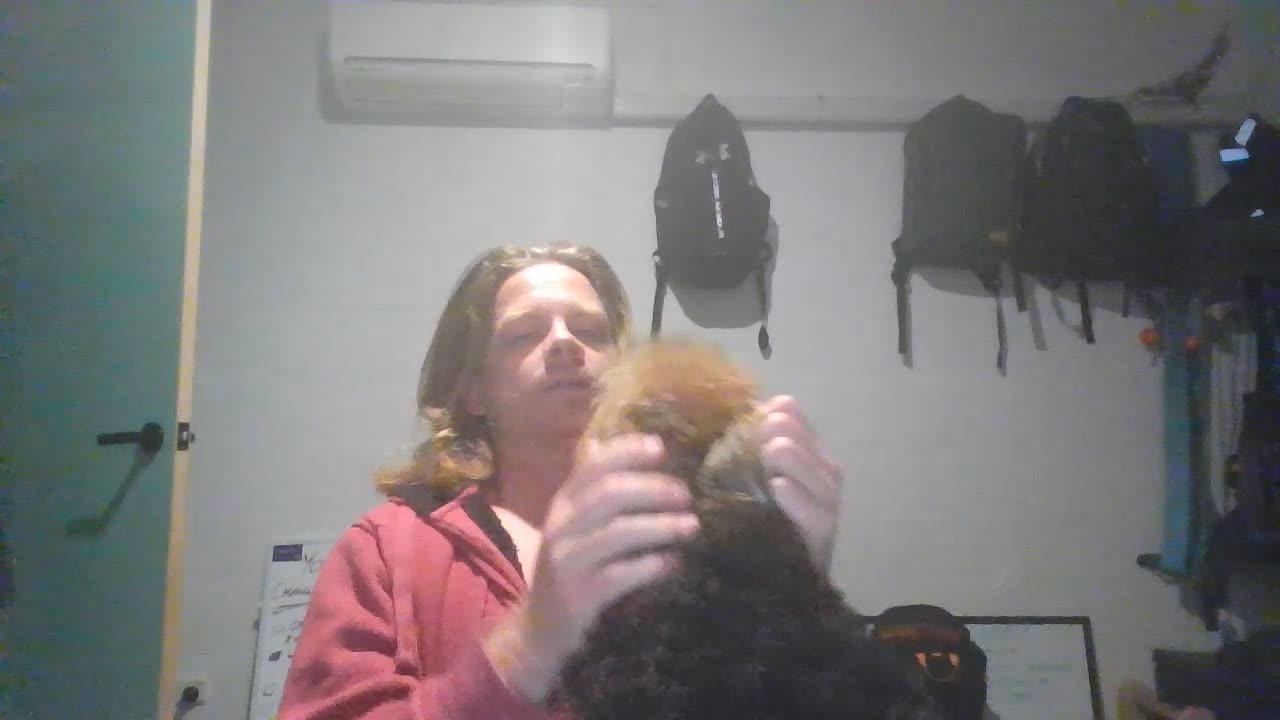 Day 70 - Weekly recap