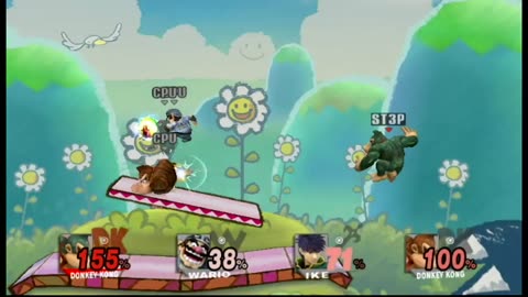 Super Smash Bros Brawl Battle17