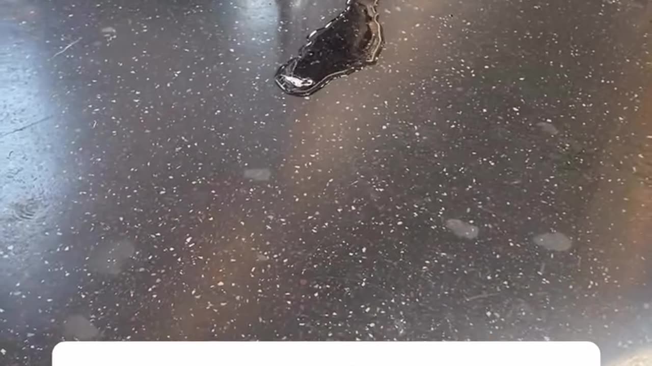 absolutely NOT, next cart!!