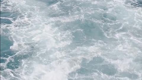 Daily Horoscope | Scorpio 🌟