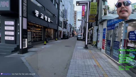 🔥road to tiger village Busan Korea