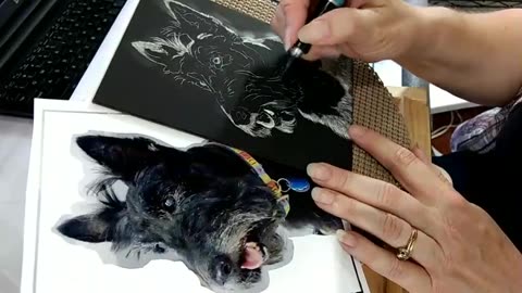 Scottish Terrier - Scratchboard "Scratch & Chat" #1