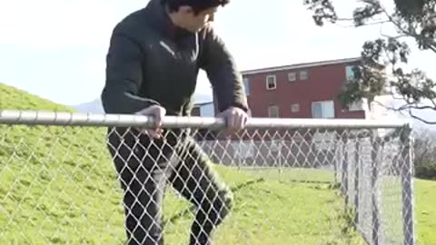 How Animals Get Over A Fence!
