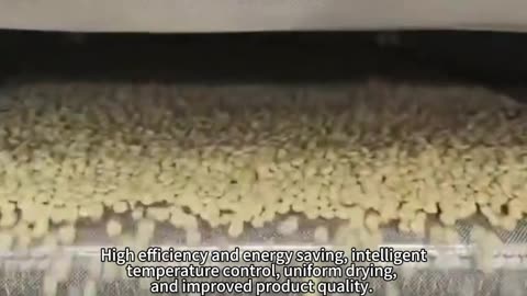 mesh belt dryer