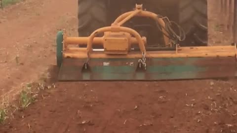 Soil preparation for greenhouse vegetable growing