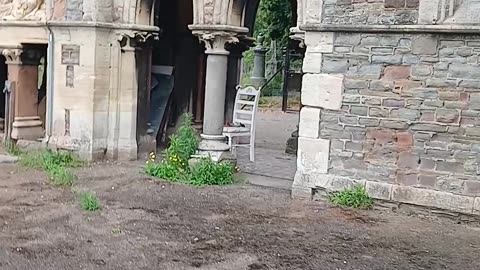 L9las going to become a wisteria tree