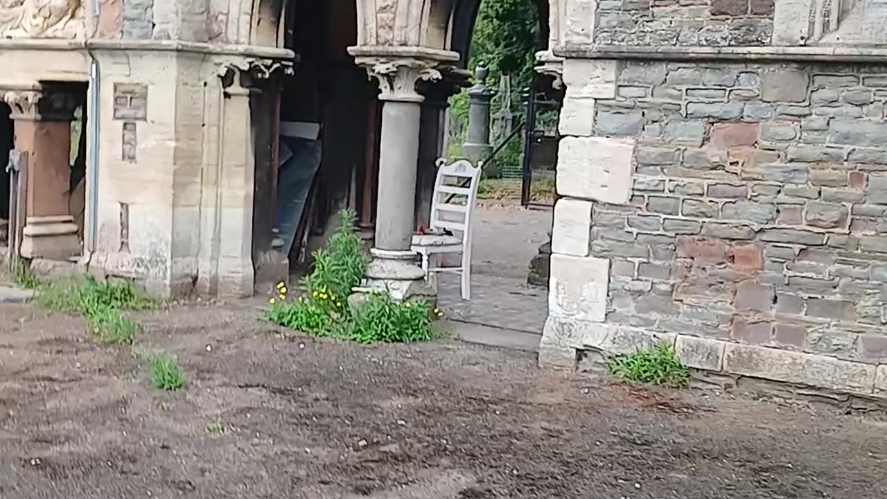 L9las going to become a wisteria tree