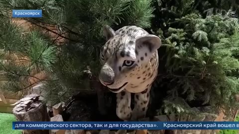 Выпуск новостей в 18:00 от 15.12.2025