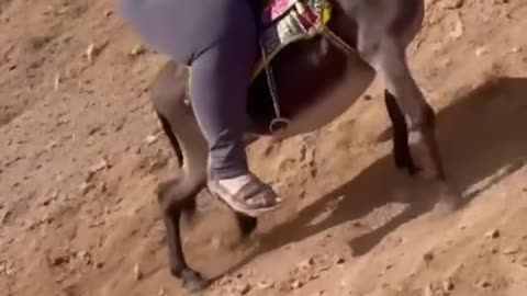 I hope this isn’t real