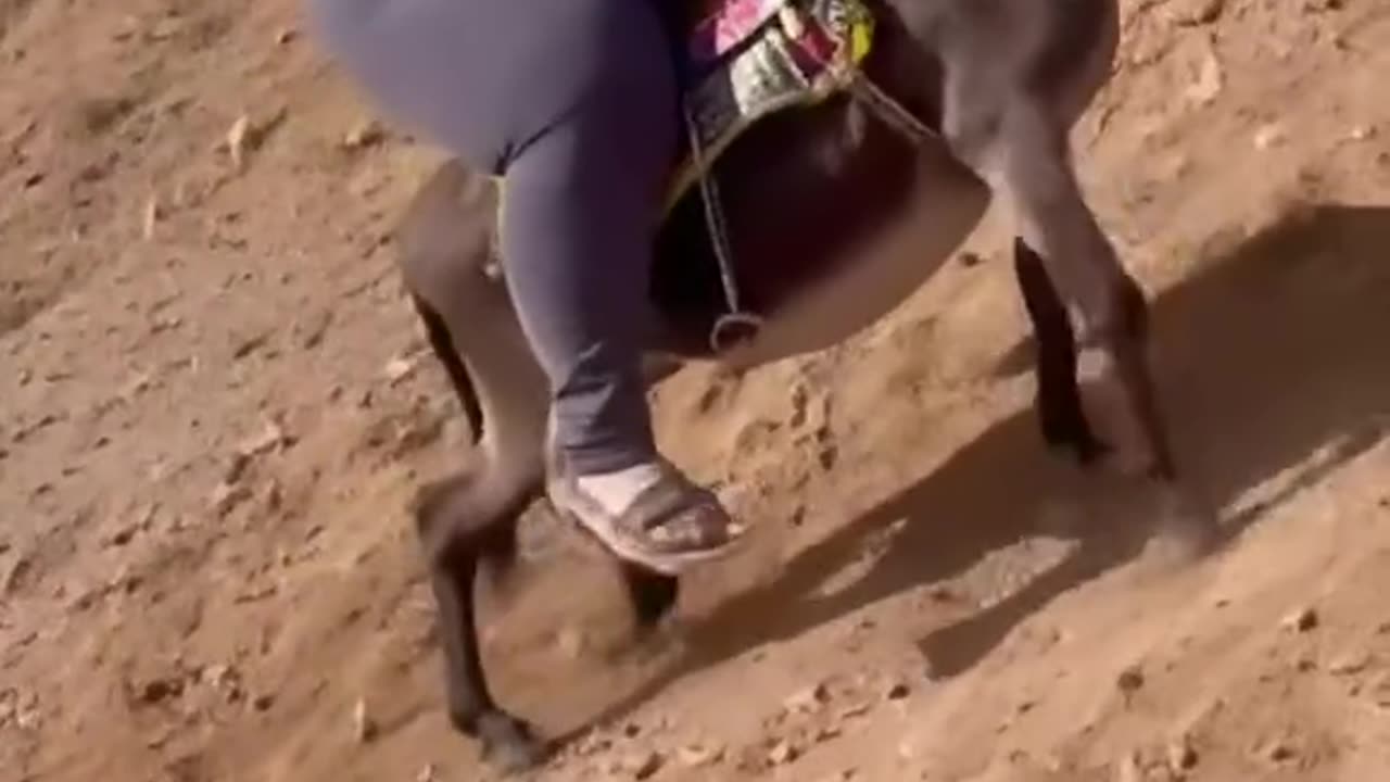 I hope this isn’t real