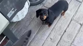 😂🔥 He’s already burnt! | FunFM