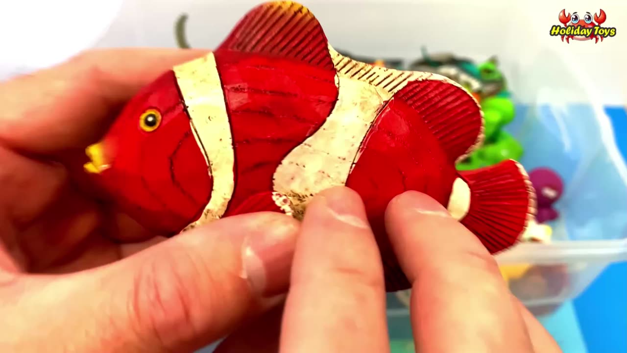 Octopus Jostling with Turtle in Clear Jar on the Table