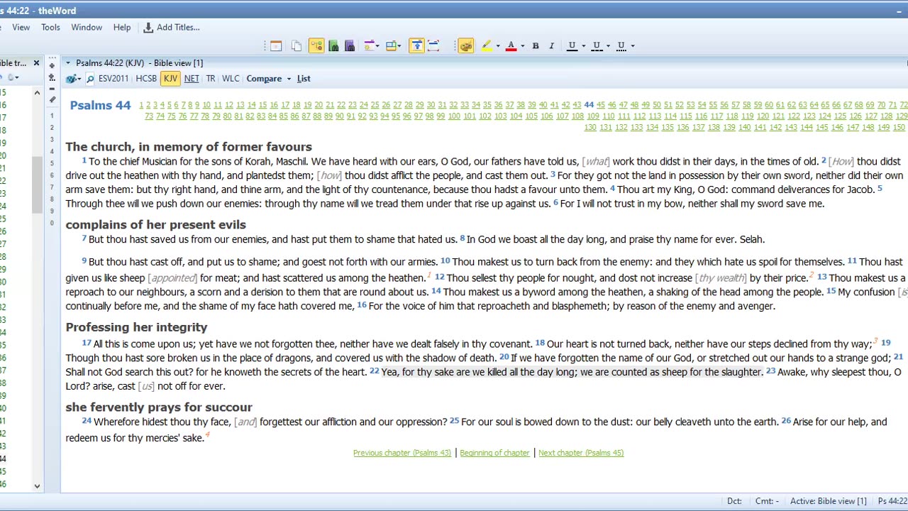 Bible Study Psalms 44 &45