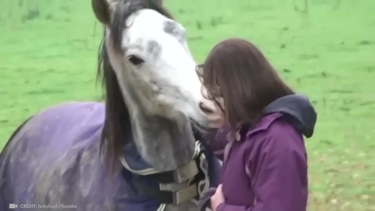 Dog’s Rescue from Garbage – A Life-Changing Story of Survival 💫 Heart Warming Story