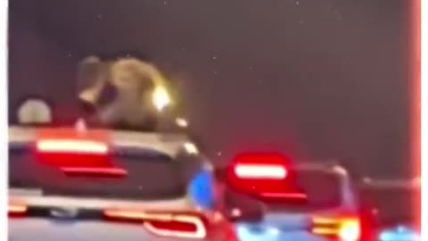 “This operation was so outrageous that even my teammates were stunned!