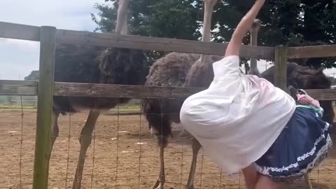 🤣🤣🤣