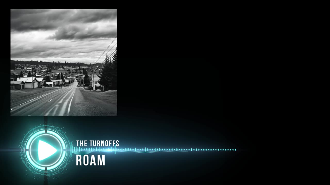 The Turnoffs - Roam