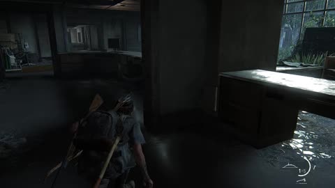 The Last Of Us Part 2 - 17