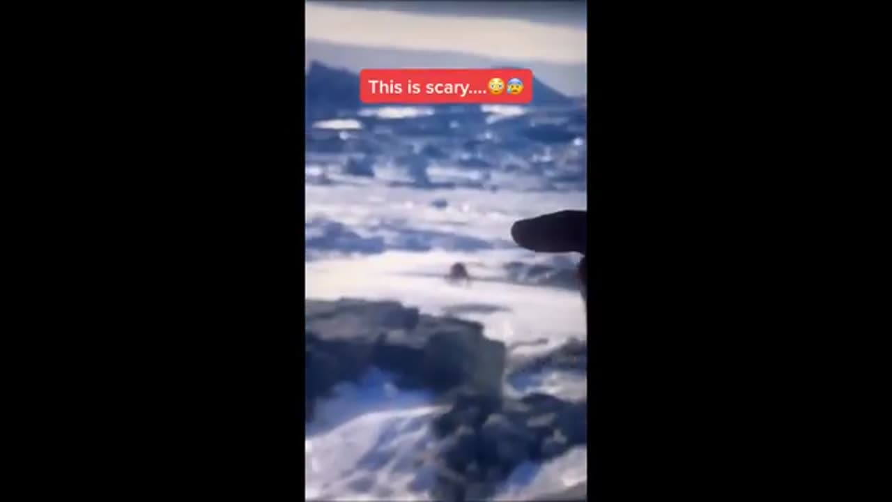 Créature géante ressemblant à un insecte repérée en Antarctique