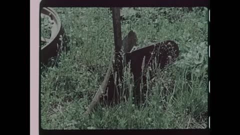 German Raw Color Footage from the Eastern Front in Ukraine Southern Russia- June to September 1942