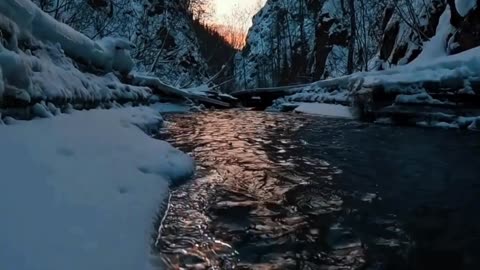 The Last Breath of Winter ❄️🌅 | Sounds of Nature