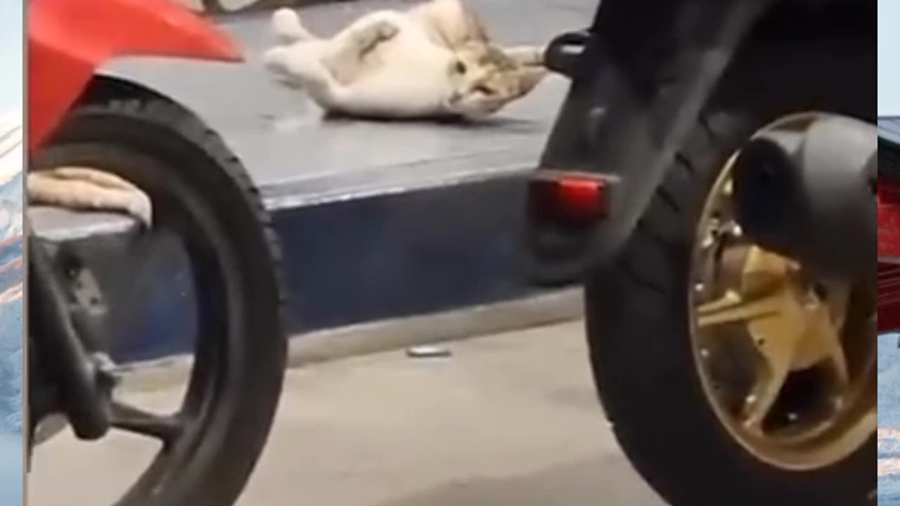 Aha