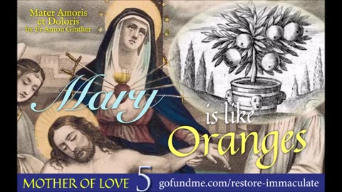 Mother of Love 5 Mary is Like Oranges