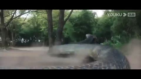 #fight,guy was