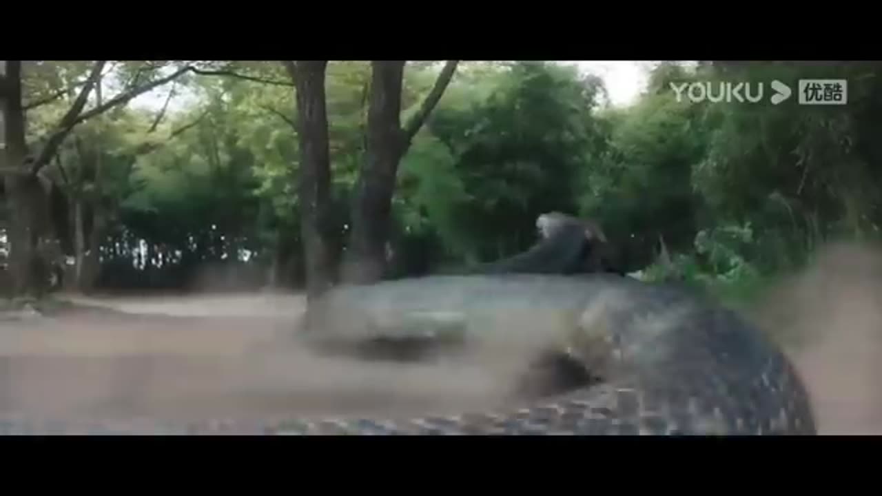 #fight,guy was